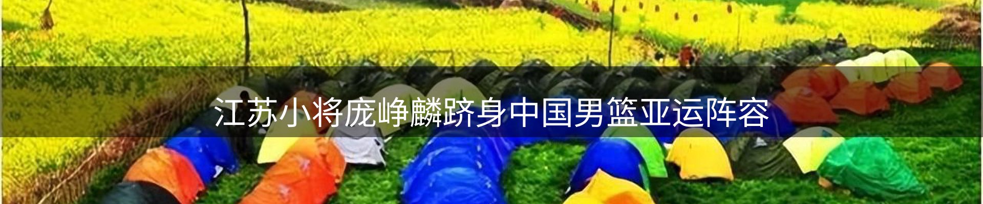 品牌推荐